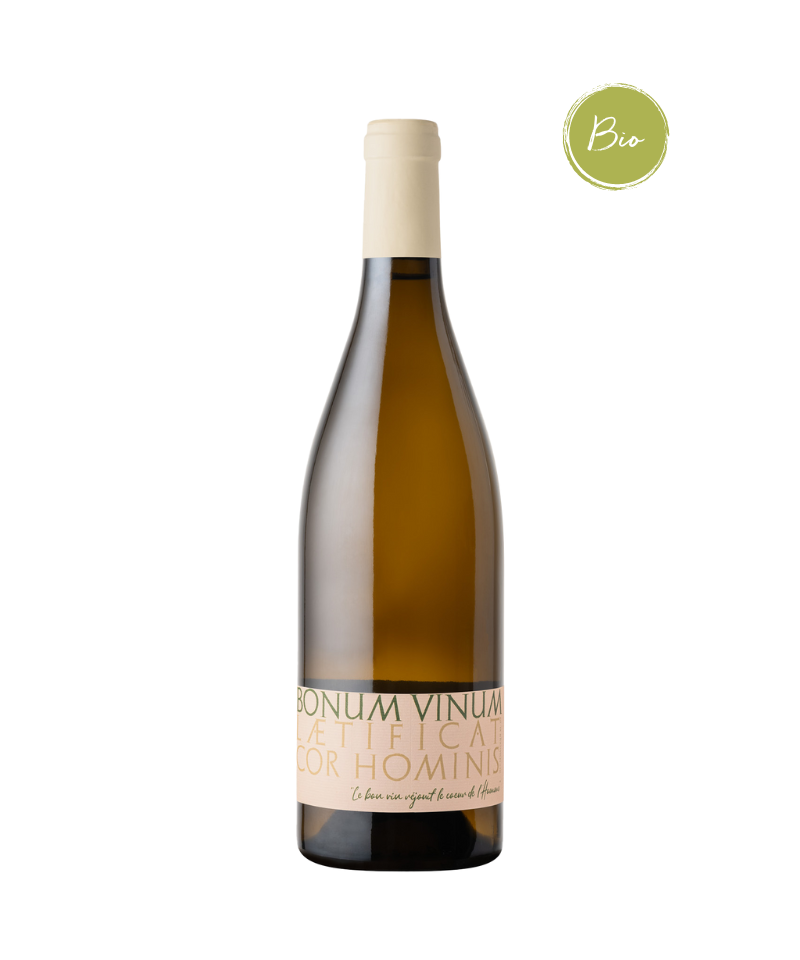 Vins du Languedoc - Bonum Vinum, Château Marco