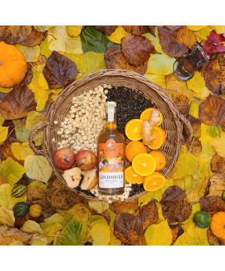 Spiritueux du Sud Ouest - Gin de Nos Jardins - Distillerie de l'Ort