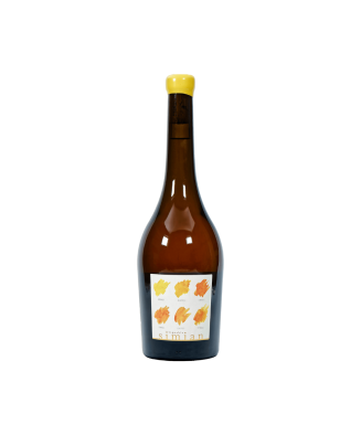 Vin du Rhône - L'Orange, Château Simian