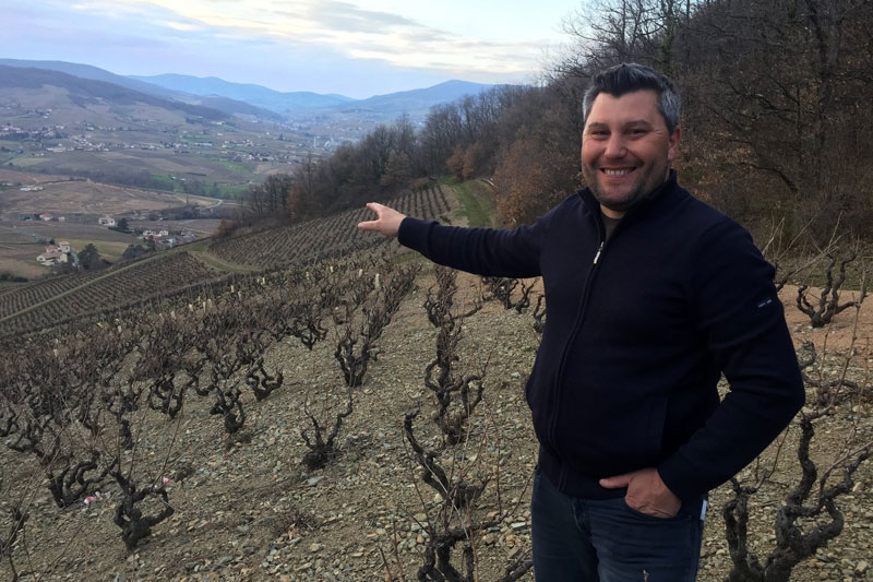 vin-beaujolais-domaine-saint-cyr.jpg