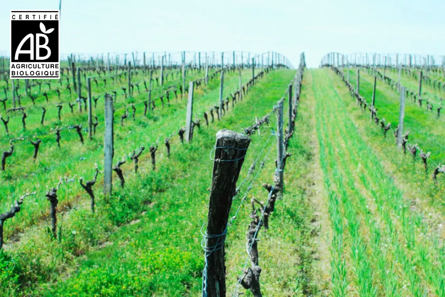 domaine-cazulet